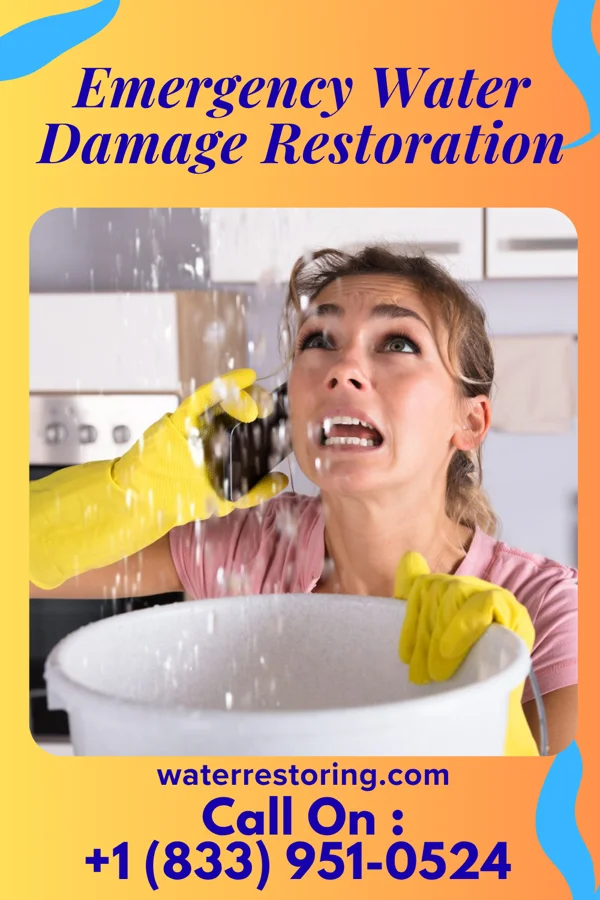 Emergency Water Damage Restoration in Laymantown, VA