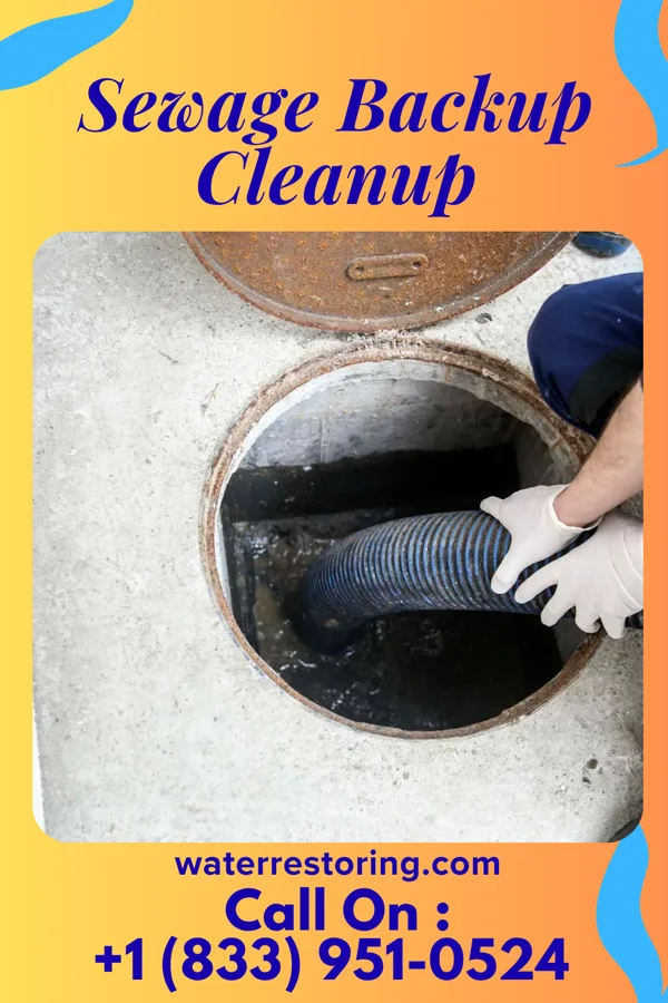 Sewage Backup Cleanup in Laymantown, VA