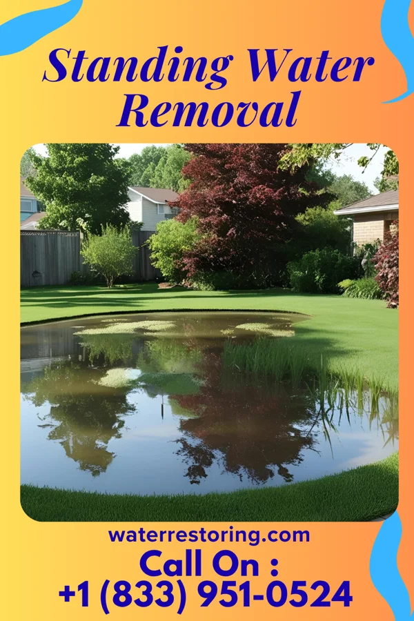 Standing Water Removal in Laymantown, VA